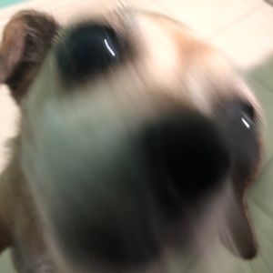 Meet your Posher, Crystal